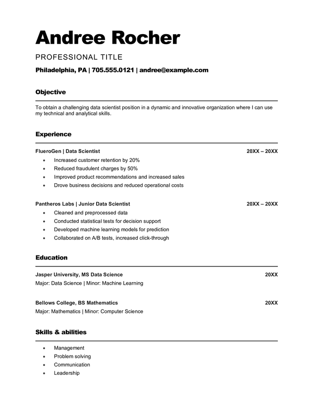 Corporate Professional Style Resume Template
